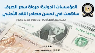 المؤسسات الدولية تشيد بمرونة سعر الصرف وتحسن أداء الجنيه المصري أمام الدولار