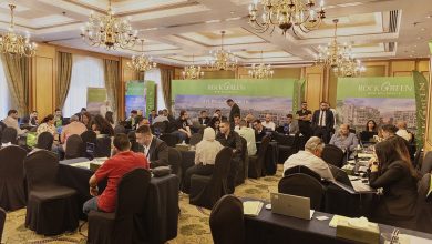 Rock Green: From successful launch to record sales in just 48 hours