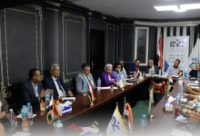 مجلس الشباب المصري ينظم ورشة لتعميق المشاركة السياسية للشباب