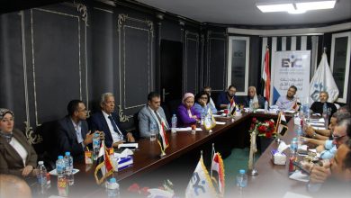 مجلس الشباب المصري ينظم ورشة لتعميق المشاركة السياسية للشباب