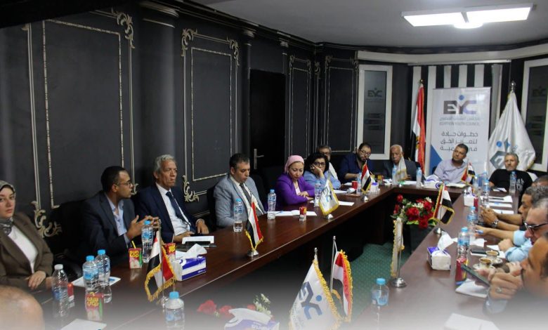 مجلس الشباب المصري ينظم ورشة لتعميق المشاركة السياسية للشباب