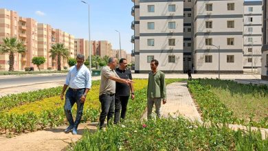 الإسكان تتابع على الأرض.. رئيس مدينة بدر يتفقد المشروعات ويوجه بتكثيف التشجير والصيانة