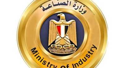 وزارة الصناعة تنقي حقيقة إلغاء “بروتوكول الشحن الصيني” الخاص بالسيارات الكهربائية