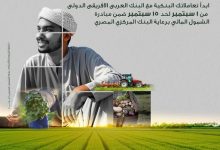 البنك العربي الأفريقي يقدم باقة متنوعة من الخدمات والمنتجات المجانية احتفالًا بعيد الفلاح
