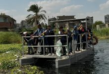 بالصور.. بنك saib ينظم يوماً تطوعياً لتنظيف مياه النيل بجزيرة القرصاية بالجيزة