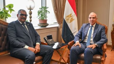 وزير الري يلتقي نظيره السوداني لتعزيز التعاون المشترك بين البلدين