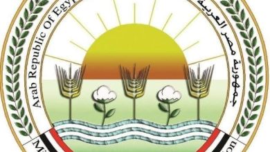 الزراعة: دعوات الامتناع عن إطعام الكلاب الضالة سلوك مخالف للشرع والقانون