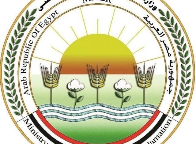 الزراعة: دعوات الامتناع عن إطعام الكلاب الضالة سلوك مخالف للشرع والقانون الزراعة: دعوات الامتناع عن إطعام الكلاب الضالة سلوك مخالف للشرع والقانون