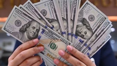 الدولار يتراجع 4.4% أمام الجنيه المصري منذ بداية 2025