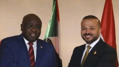 محمد الجارحي يستحوذ علي منجم ذهب في السودان بقيمة 14 مليار جنيه