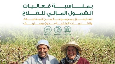 البنك الأهلي المصري يقدم 4 خدمات مجانية احتفالًا بيوم الفلاح
