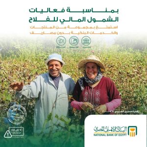 البنك الأهلي المصري 