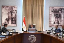 مصر تطلق خطة وطنية لإنتاج بذور الخضر والمحاصيل الاستراتيجية وفق أحدث المعايير العالمية
