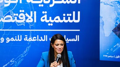 وزيرة التخطيط: لا تنمية اقتصادية بدون استقرار.. والقطاع الخاص شريك في كل المراحل