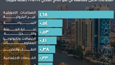 من الانكماش إلى الريادة.. الصناعات التحويلية غير البترولية تقود النمو الاقتصادي في مصر