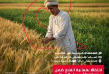 البنك المصري لتنمية الصادرات بتبح 4 خدمات مجانية مجانية احتفالًا بيوم الفلاح