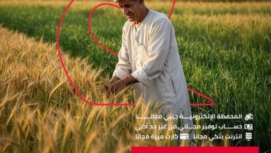 البنك المصري لتنمية الصادرات بتبح 4 خدمات مجانية مجانية احتفالًا بيوم الفلاح