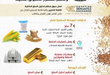 البورصة السلعية تحقق تداولات بقيمة 21.5 مليار جنيه حتى يوليو 2025