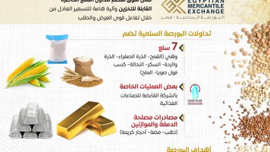 البورصة السلعية تحقق تداولات بقيمة 21.5 مليار جنيه حتى يوليو 2025