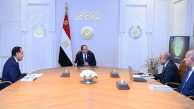السيسي يبحث خطط بطاريات التخزين ومشروعات الطاقة المتجددة لضمان استقرار الشبكة الكهربائية