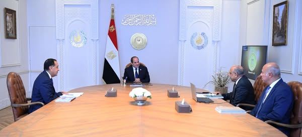 السيسي يبحث خطط بطاريات التخزين ومشروعات الطاقة المتجددة لضمان استقرار الشبكة الكهربائية السيسي يبحث خطط بطاريات التخزين ومشروعات الطاقة المتجددة لضمان استقرار الشبكة الكهربائية
