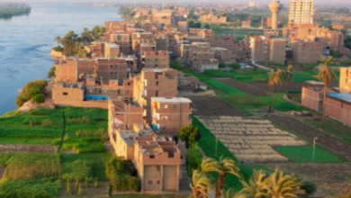 65.7 مليار جنيه استثمارات حكومية موجهة لتنمية أقاليم الصعيد بخطة 2025/2026