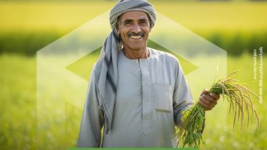 بنك التعمير والإسكان يتيح جميع منتجات الشمول المالي مجانًا احتفالًا بيوم الفلاح