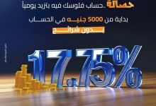 بنك التنمية الصناعية يعدل العائد علي حساب حصالة إلي 17.75%