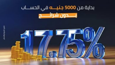 بنك التنمية الصناعية يعدل العائد علي حساب حصالة إلي 17.75%