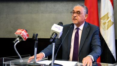 حسام هيبة: مصر تستقطب 46.1 مليار دولار استثمارات أجنبية وتؤسس 46 ألف شركة جديدة
