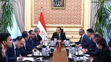 مدبولي يلتقي رئيس “إيليت سولار” لتوطين صناعة مكونات الطاقة الشمسية في مصر