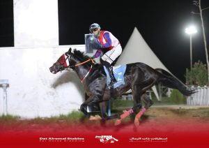 مدرسة ذات الرمال للفروسية 