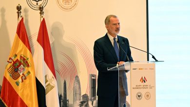 ملك إسبانيا: 60 شركة إسبانية تعمل في مصر.. ونطمح لمستقبل مشترك قائم على الاستثمار والابتكار