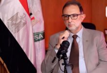 انخفاض نسب رفض الموالح المصرية المصدّرة إلى الاتحاد الأوروبي من 15% إلى 2.1%