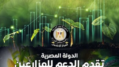 بدعم غير مسبوق.. “الحكومة” توفر الأسمدة وتطبق الزراعة التعاقدية بـ 70 مليار جنيه سنويًا