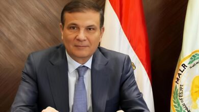 مصر تعزز التعاون الإقليمي في مكافحة الجراد الصحراوي للحد من مخاطر انتشاره  مصر تعزز التعاون الإقليمي في مكافحة الجراد الصحراوي للحد من مخاطر انتشاره