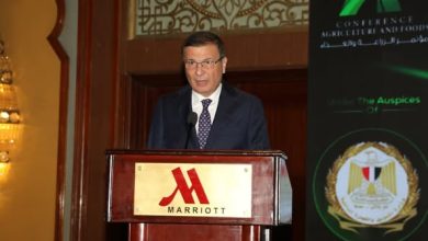 وزير الزراعة: الصادرات الزراعية تقفز إلى 7.5 مليون طن في عام 2025