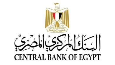 مجموعة العمل المالي (FATF) تدرج تجربة مصر ضمن أفضل الممارسات الدولية في تعزيز الشمول المالي