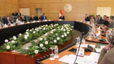 وزير الكهرباء: نسعى لإقامة بنية مؤسسية قوية لإدارة المشروعات النووية وتعزيز القدرات الوطنية