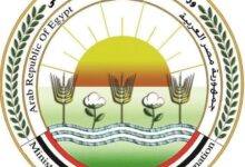 “الزراعة” تطلق الحملة القومية لتحصين الماشية ضد الحمى القلاعية والوادي المتصدع لحماية الثروة الحيوانية