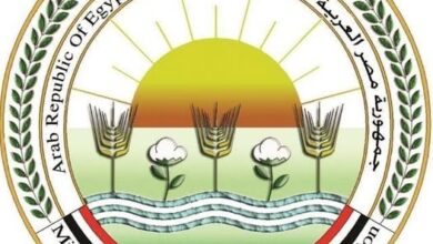 “الزراعة” تطلق الحملة القومية لتحصين الماشية ضد الحمى القلاعية والوادي المتصدع لحماية الثروة الحيوانية “الزراعة” تطلق الحملة القومية لتحصين الماشية ضد الحمى القلاعية والوادي المتصدع لحماية الثروة الحيوانية