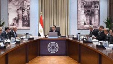 رئيس الوزراء: عدد رؤوس الثروة الحيوانية منذ عام 2024 بلغ 8.6 مليون