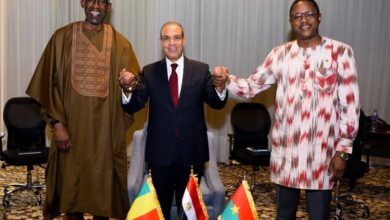 وزير الخارجية يعقد لقاءً ثلاثيًا مع نظيريه المالي والبوركيني على هامش منتدى أسوان للسلام والتنمية المستدامين