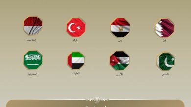 مصر و7 دول يرحبون بمفاوضات ترامب وحماس وإنهاء الحرب على غزة