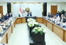 “القابضة الكيماوية” تحقق إيرادات بقيمة 18.8 مليار جنيه