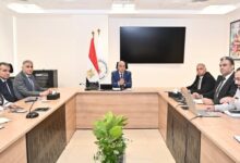 وزير الري: حصر بيانات ٨٣٩٩ مسقى خصوصية بأطوال تصل إلى ٨٢٥٦ كيلومتر