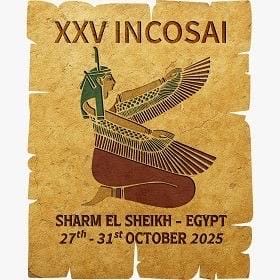 مصر تطرح رؤية جديدة لاستخدام الذكاء الاصطناعي في أعمال المراجعة خلال “الإنكوساي 25” بشرم الشيخ مصر تطرح رؤية جديدة لاستخدام الذكاء الاصطناعي في أعمال المراجعة خلال “الإنكوساي 25” بشرم الشيخ