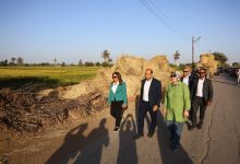 “وزيرة التنمية المحلية” توجه بسرعة جمع قش الأرز وتطالب بضرورة التنسيق مع الميكنة الزراعية لاستدامة معدات الجمع والكبس
