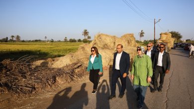 وزيرة التنمية المحلية توجه بسرعة جمع قش الأرز