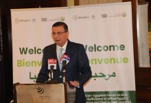 الأعلى عالميًا.. ارتفاع إنتاجية مصر من الأرز إلى 5 أطنان للفدان